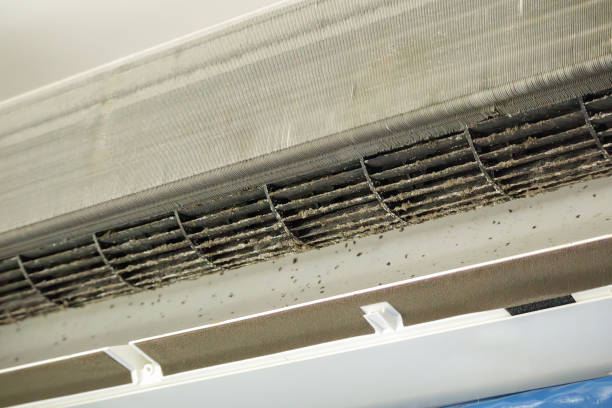 Best Best Air Duct Cleaning Company  in Belvedere Park, GA